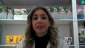 Veterinaria In Shop, a Pontedera una farmacia a misura…d’animale