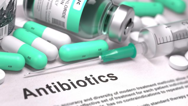 aztreonam e avibactam