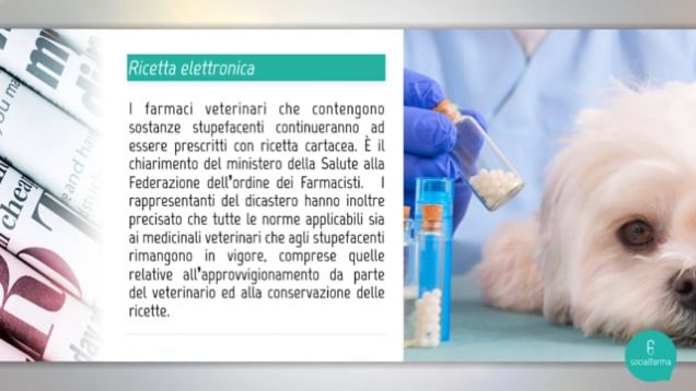 Tabloid – Edizione 17 gennaio 2019