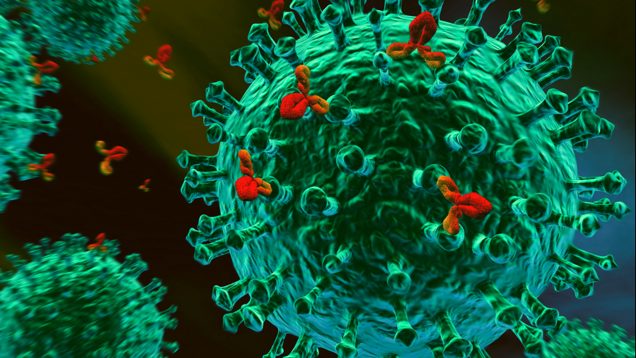 immunoterapia cellulare