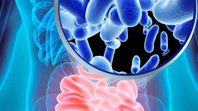 Microbiota intestinale
