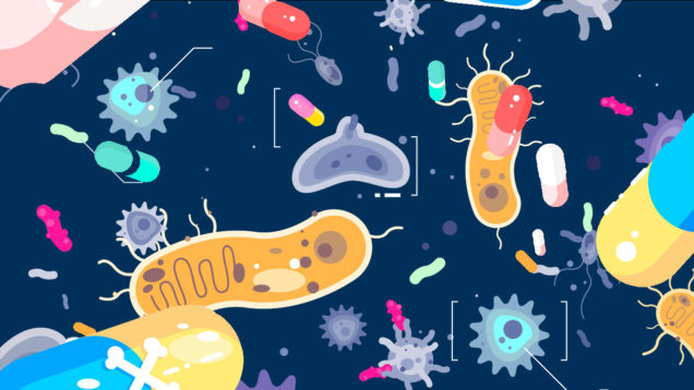 antimicrobico resistenza