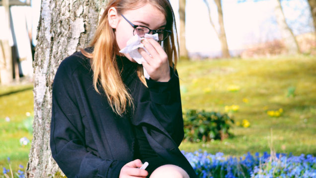allergia ai pollini