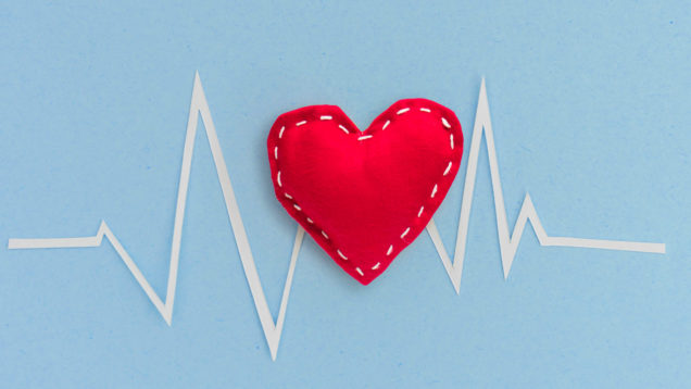 prevenzione cardiovascolare