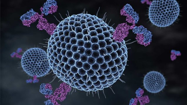 vaccino Herpes zoster