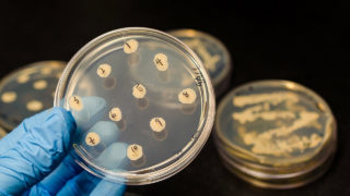 Antibiotico resistenza