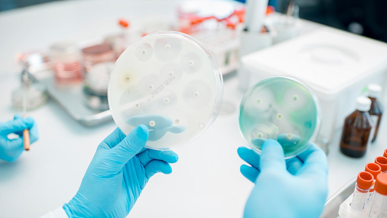 Università dell’Insubria