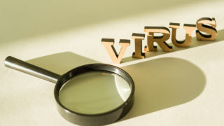 Hantavirus