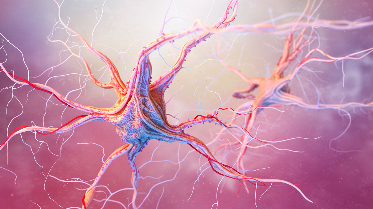 Malattie neurovegetative