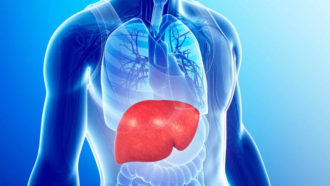 rimborsabilità di elafibranor