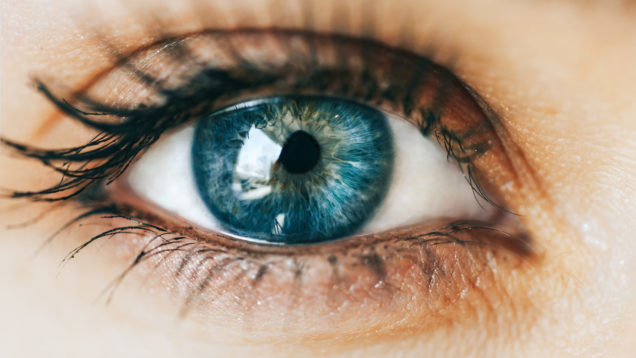 degenerazione maculare