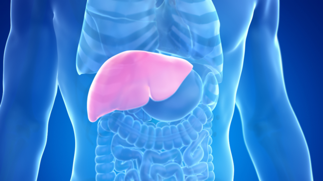 rischio danno epatico