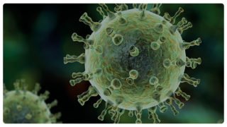 Hantavirus