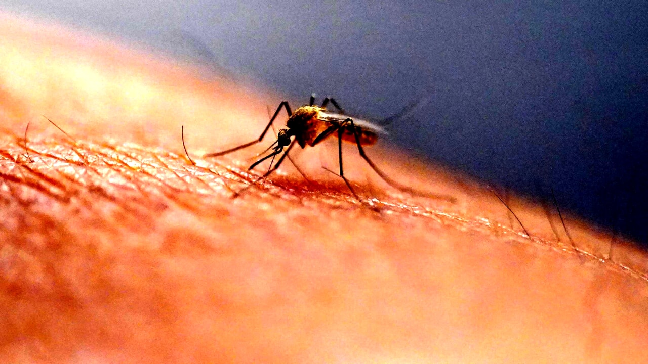 sospensione temporanea vaccino